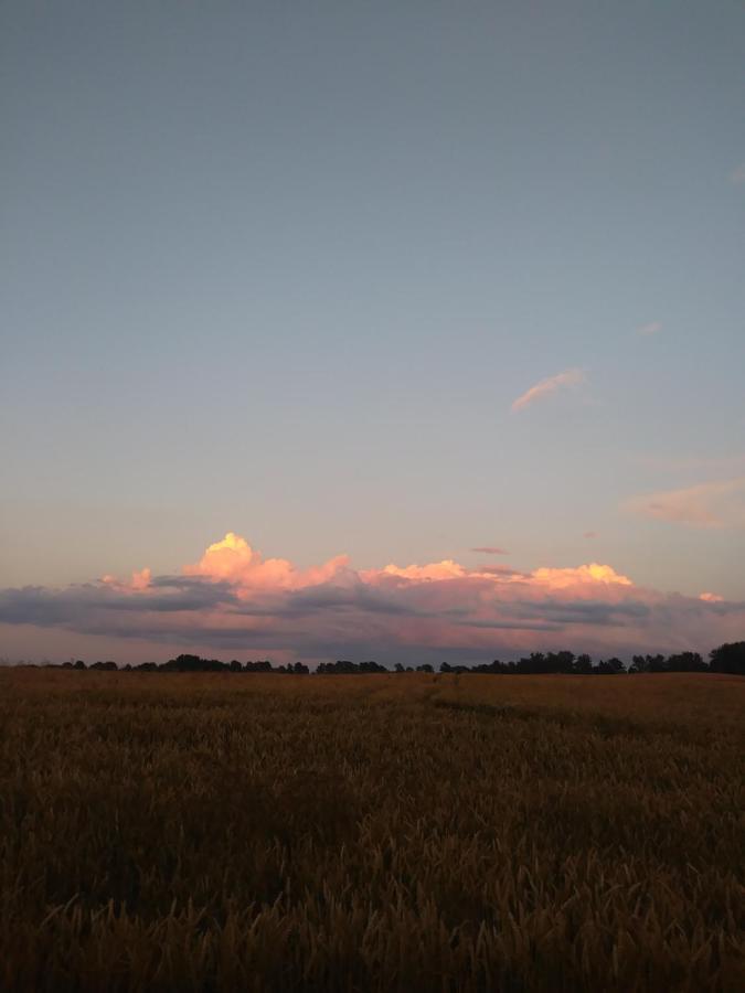 Miejsce Mocy Mazury Apartment Kolno  ภายนอก รูปภาพ