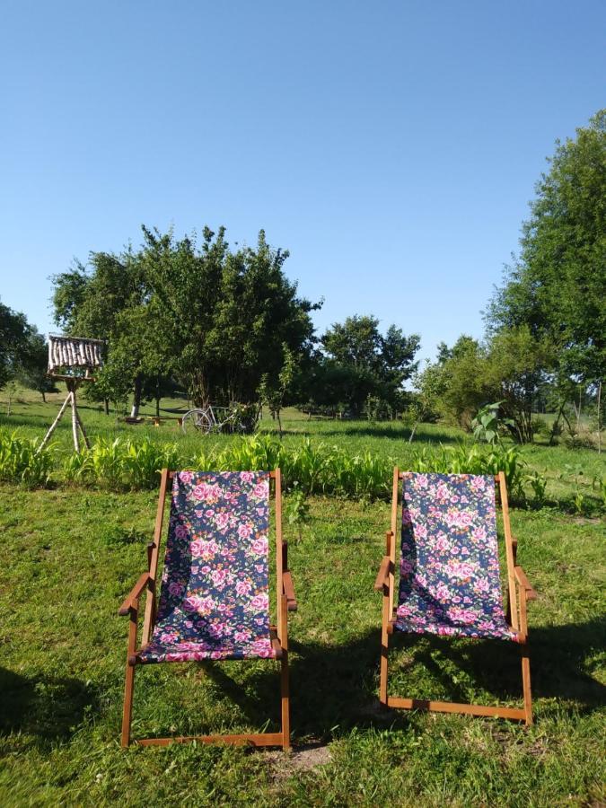 Miejsce Mocy Mazury Apartment Kolno  ภายนอก รูปภาพ