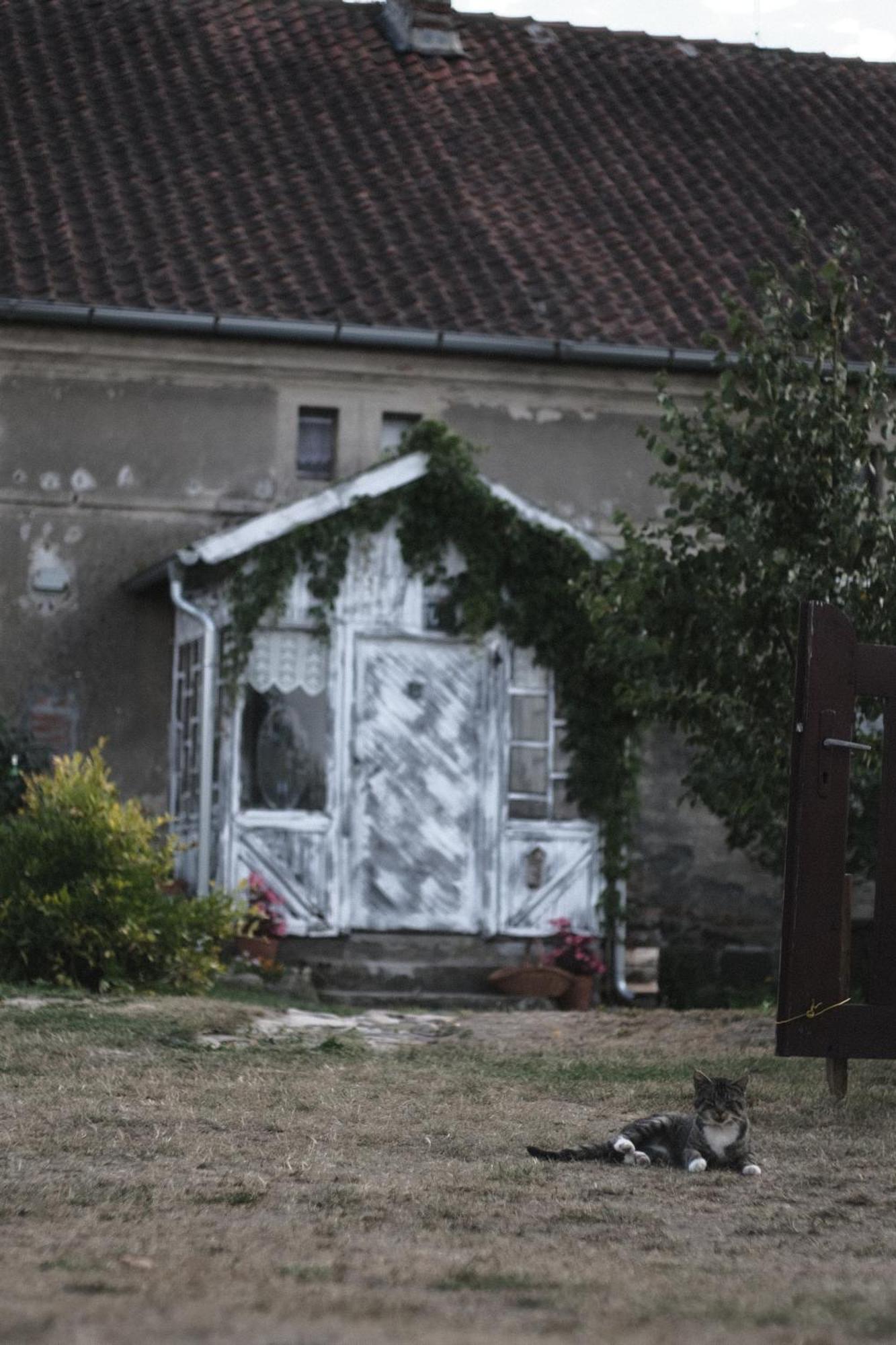 Miejsce Mocy Mazury Apartment Kolno  ภายนอก รูปภาพ